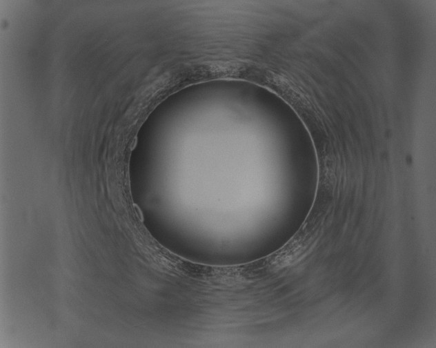 X0000074321249200608251252