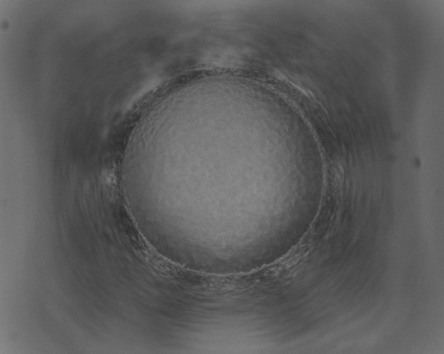 X0000074321254200608251252