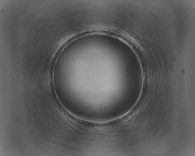 X0000074321264200608251252