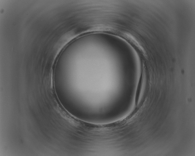 X0000074321276200608251251
