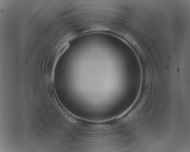 X0000074321281200608251251