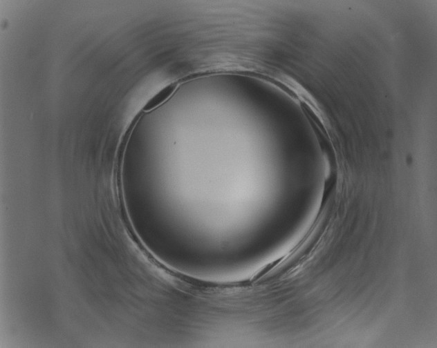 X0000074321293200608251251