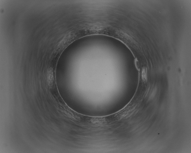 X0000074321299200608251250