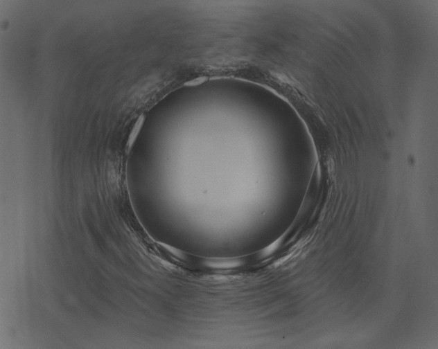 X0000074321300200608251250