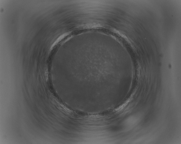 X0000074321306200608251251
