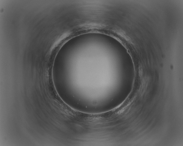X0000074321309200608251251