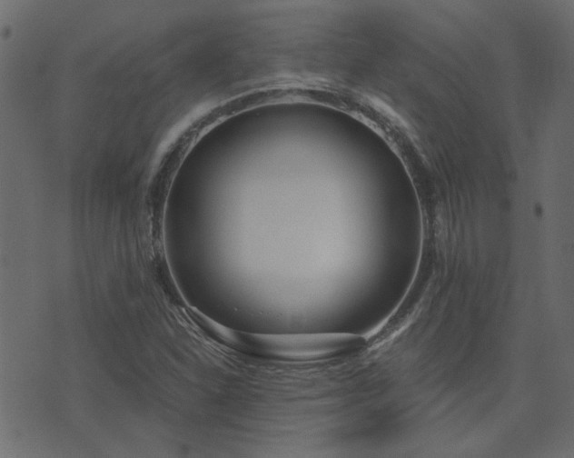 X0000074321310200608251251