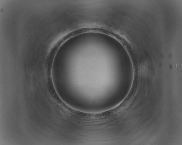 X0000074321311200608251251