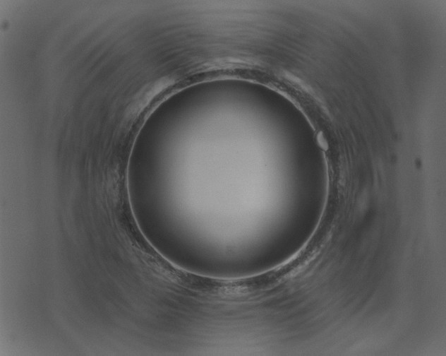 X0000074321313200608251251