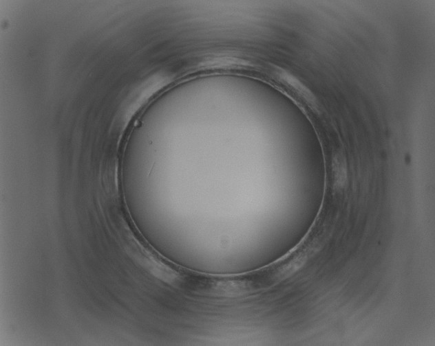 X0000074321322200608251251