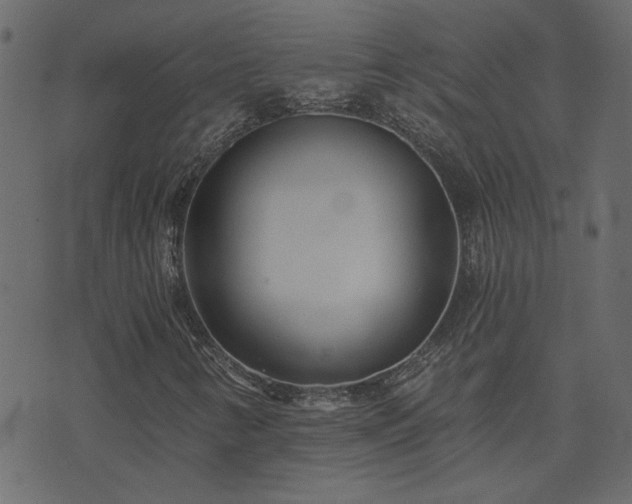 X0000074321346200608251250