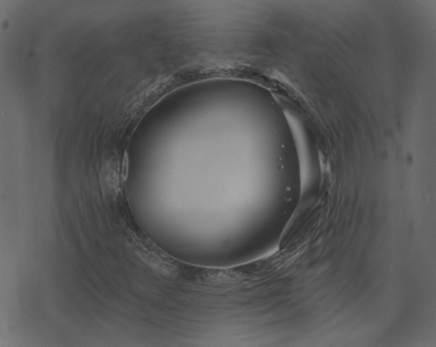 X0000074321348200608251250