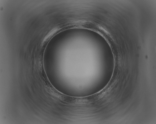 X0000074321354200608251250