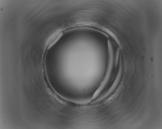 X0000074321373200608251250