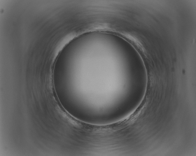 X0000074321374200608251250