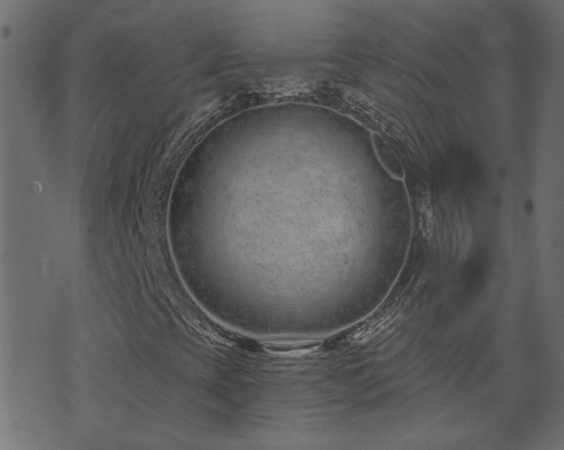 X0000074321393200608251249