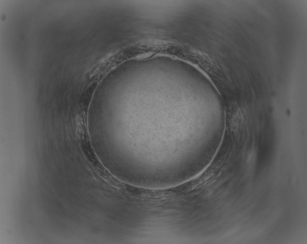 X0000074321397200608251249