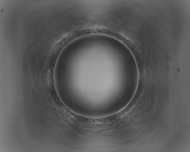 X0000074321398200608251249