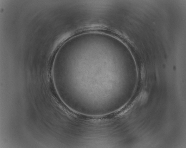 X0000074321405200608251249