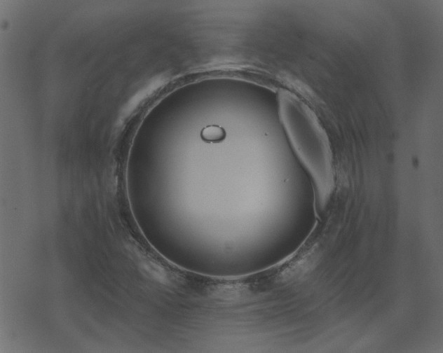 X0000074321406200608251249