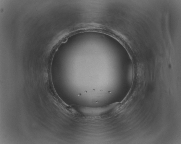 X0000074321407200608251249