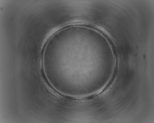 X0000074321413200608251249