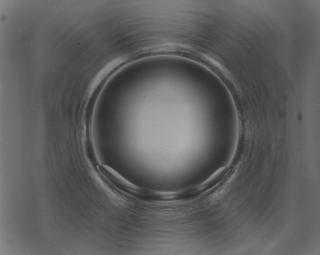 X0000074321418200608251249