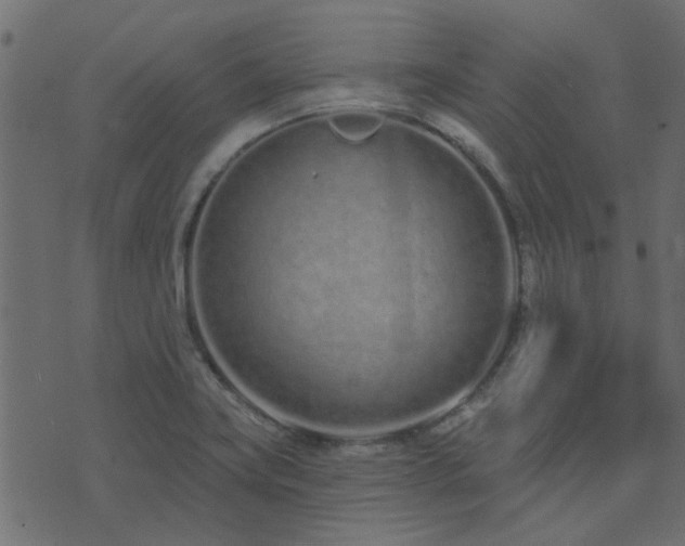 X0000074321419200608251249