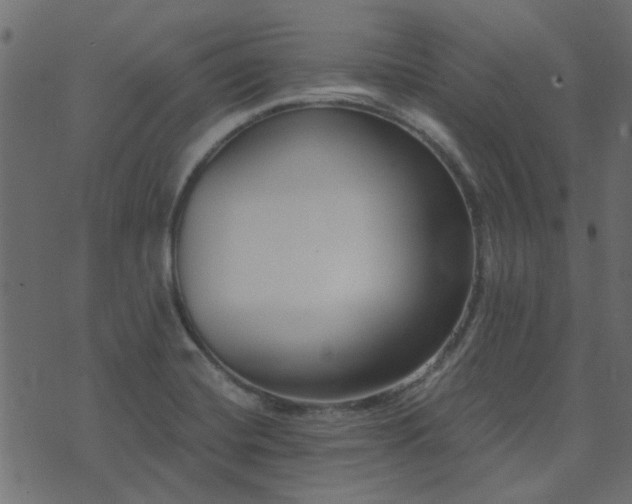 X0000074321420200608251249