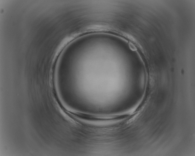 X0000074321421200608251249