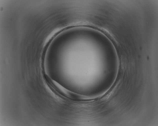 X0000074321422200608251249