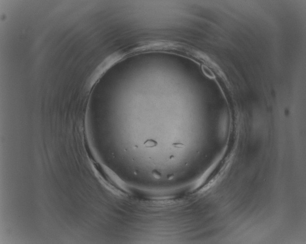 X0000074321425200608251249