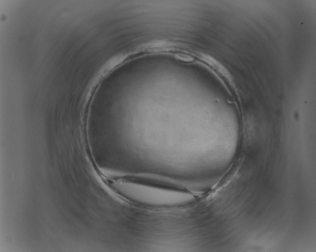 X0000074321429200608251249