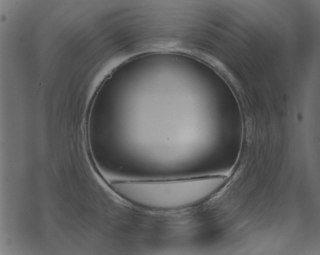 X0000074321432200608251249