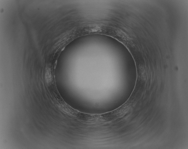 X0000074321442200608251249