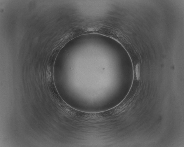 X0000074321443200608251249