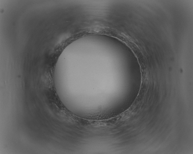 X0000074321446200608251249