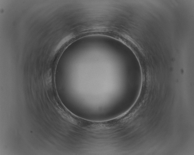 X0000074321450200608251249