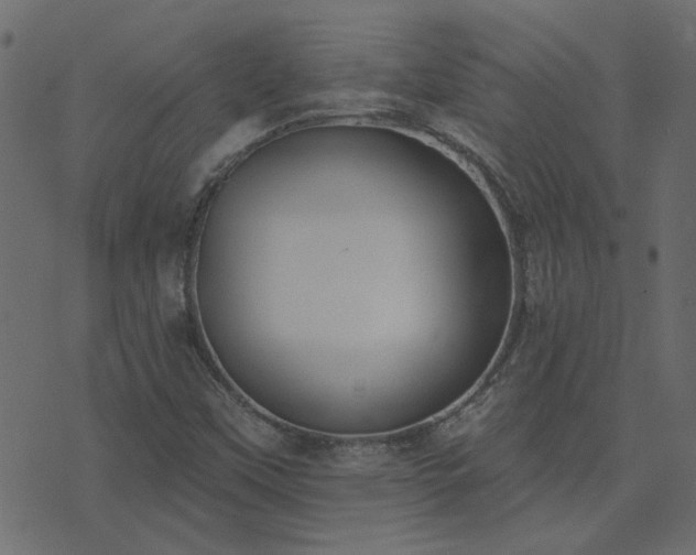 X0000074321451200608251249