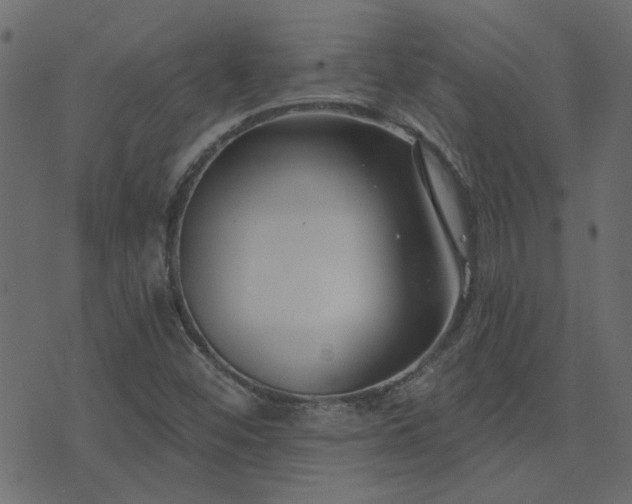 X0000074321452200608251249