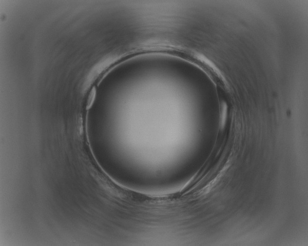X0000074321461200608251248