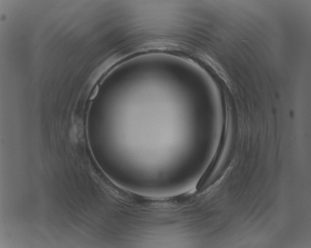 X0000074321465200608251248