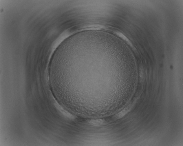 X0000074321466200608251248