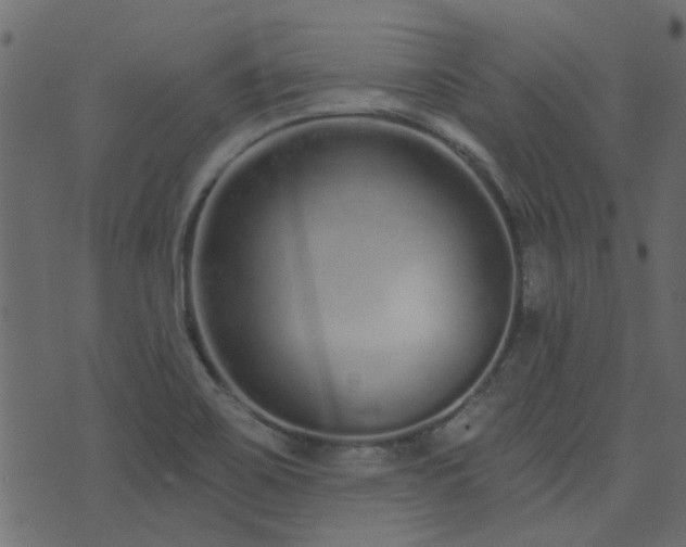 X0000074321467200608251248