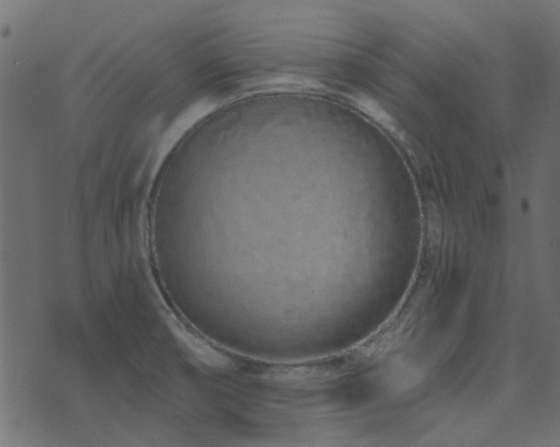 X0000074321474200608251248