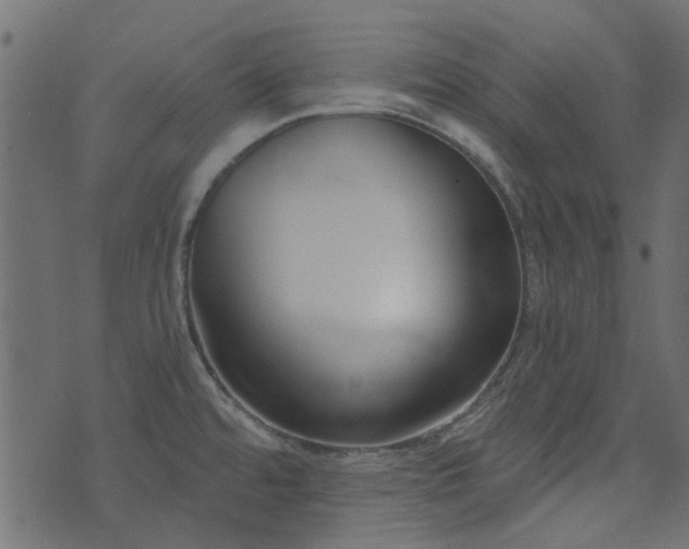 X0000074321480200608251248