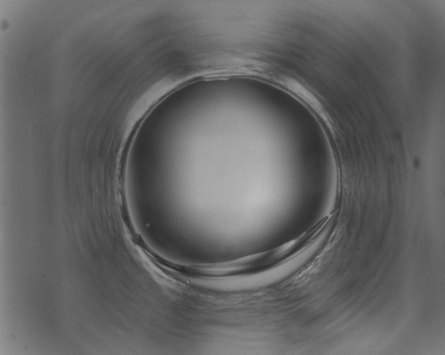 X0000074321485200608251248