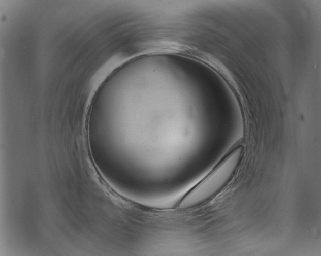 X0000074321488200608251248