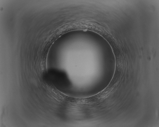 X0000074321490200608251247
