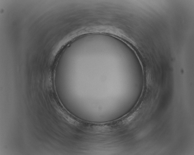X0000074321498200608251247